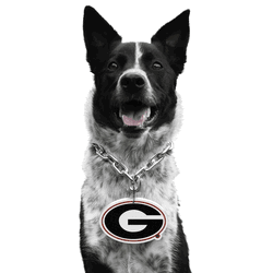 Georgia Bulldogs Pet Fan Chain