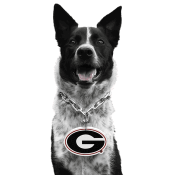 Georgia Bulldogs Pet Fan Chain