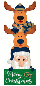 Georgia Tech Yellow Jackets 31