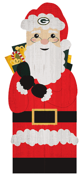 Green Bay Packers 31