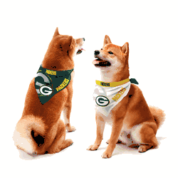 Green Bay Packers Home and Away Pet Bandana Set Large