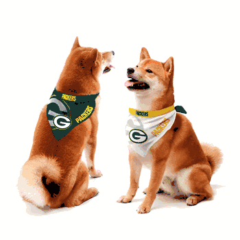 Green Bay Packers Home and Away Pet Bandana Set Medium