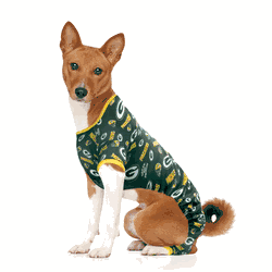 Green Bay Packers Pet PJs Medium