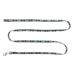 Green Bay Packers Pet Team Lead .375 X 60