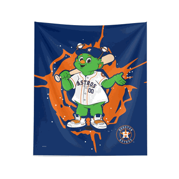 Houston Astros MLB Mascot Wall Hanging