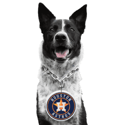 Houston Astros Pet Fan Chain