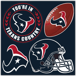 Houston Texans 4 Piece Magnet Set