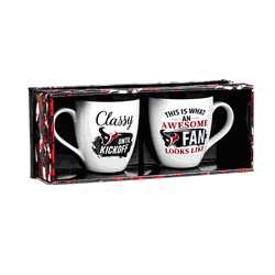Houston Texans Coffee Mug 17oz Ceramic 2 Piece Set with Gift Box