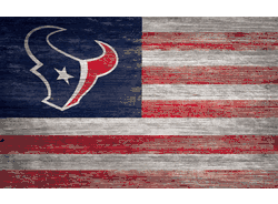 Houston Texans Distressed Flag 11x19