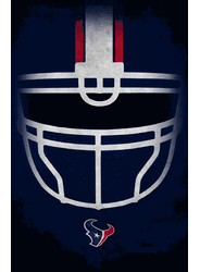 Houston Texans Ghost Helmet 17x26