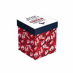 Houston Texans Glass 17oz Wine Stemless Boxed