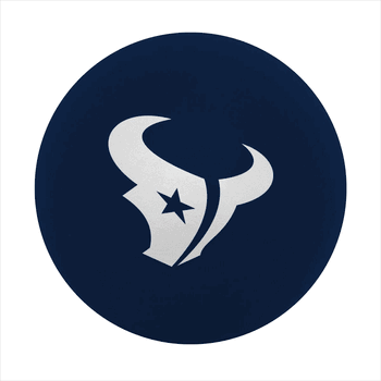 Houston Texans High Bounce Ball