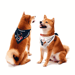 Houston Texans Home and Away Pet Bandana Set Medium