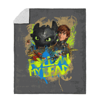 How to Train Your Dragon Follow My Lead Silk Touch Sherpa Throw Blanket 50x60 inches