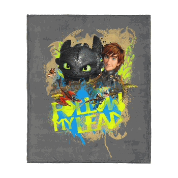 How to Train Your Dragon Follow My Lead Silk Touch Throw Blanket 50x60 inches
