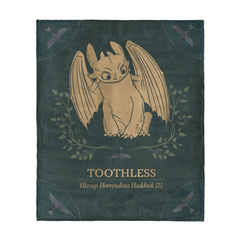 How to Train Your Dragon Hiccup and Toothless Silk Touch Throw Blanket 40x50 inches