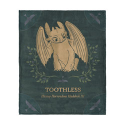 How to Train Your Dragon Hiccup and Toothless Silk Touch Throw Blanket 40x50 inches