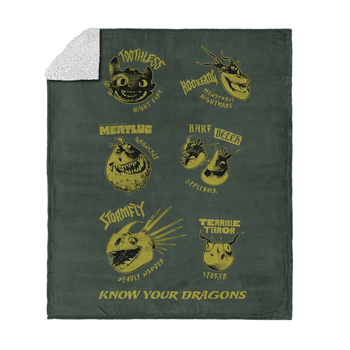 How to Train Your Dragon Know Your Dragons Silk Touch Sherpa Throw Blanket 50x60 inches
