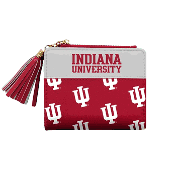 Indiana Hoosiers Mini Organizer