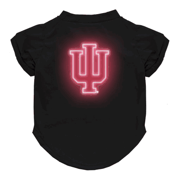 Indiana Hoosiers Neon Pet T-Shirt, X-Small