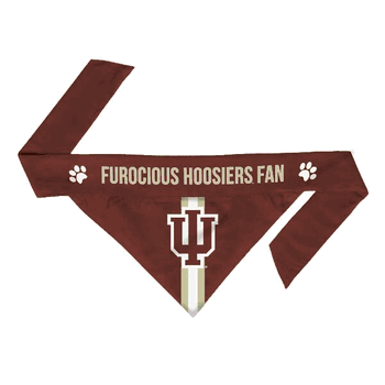 Indiana Hoosiers Pet Bandana Medium