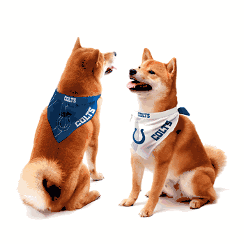 Indianapolis Colts Home and Away Pet Bandana Set Small