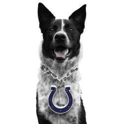 Indianapolis Colts Pet Fan Chain