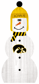 Iowa Hawkeyes 31