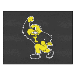 Iowa Hawkeyes All-Star Rug - 34 in. x 42.5 in.