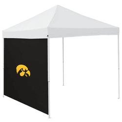 Iowa Hawkeyes Black 9 x 9 Side Panel