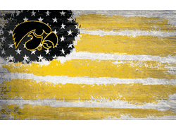 Iowa Hawkeyes Flag 11x19