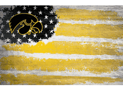 Iowa Hawkeyes Flag 17x26