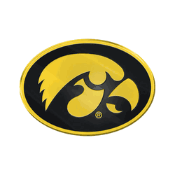 Iowa Hawkeyes Heavy Duty Aluminum Embossed Color Emblem