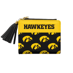 Iowa Hawkeyes Mini Organizer