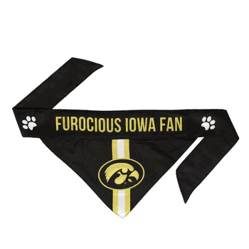 Iowa Hawkeyes Pet Bandana Medium