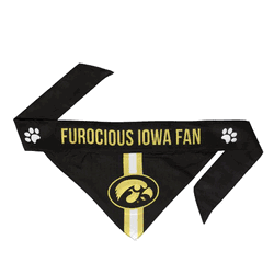 Iowa Hawkeyes Pet Bandana Small