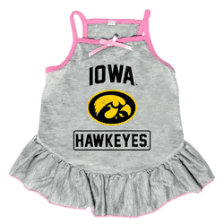 Iowa Hawkeyes Pet Dress Grey Type XSmall