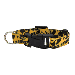 Iowa Hawkeyes Pet Team Collar Medium