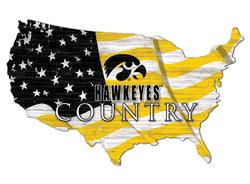 Iowa Hawkeyes USA Shape Flag Cutout
