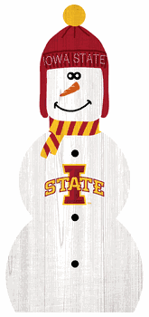 Iowa State Cyclones 31