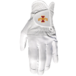 Iowa State Cyclones Cool mesh with cabretta leather - one size - mens left