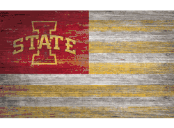Iowa State Cyclones Distressed Flag 11x19