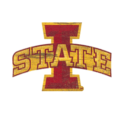 Iowa State Cyclones Distressed Logo Cutout Sign