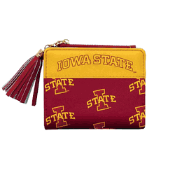 Iowa State Cyclones Mini Organizer
