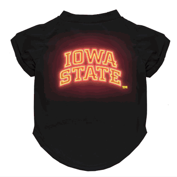 Iowa State Cyclones Neon Pet T-Shirt, X-Small