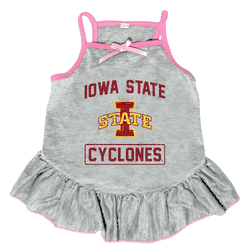 Iowa State Cyclones Pet Dress Grey Type Large