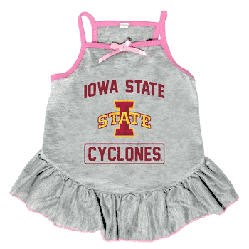 Iowa State Cyclones Pet Dress Grey Type XSmall