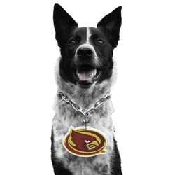 Iowa State Cyclones Pet Fan Chain