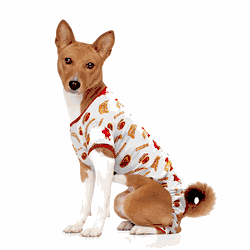Iowa State Cyclones Pet PJs Medium