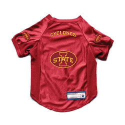 Iowa State Cyclones Pet Stretch Jersey L